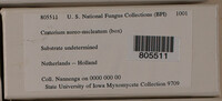 Image Associated With the Occurence